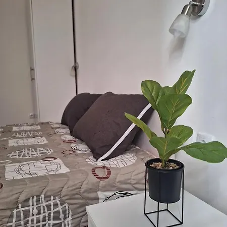 Apartament Koki Cladova