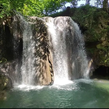 Koki * كلادوفو