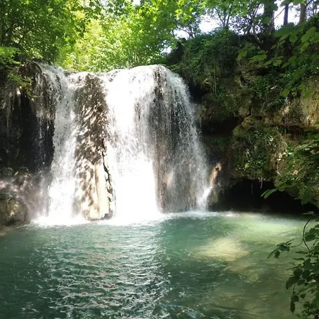 Koki * كلادوفو