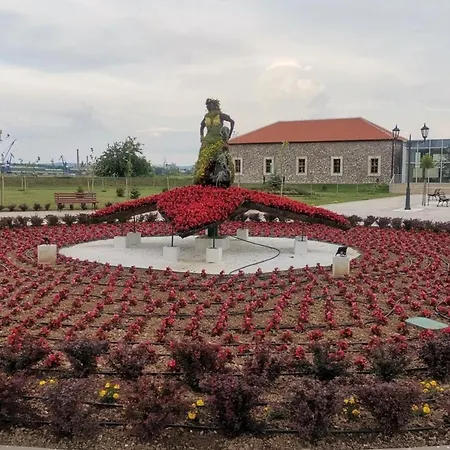 Koki * كلادوفو