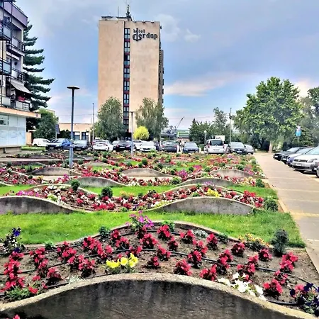 Koki Apartament Cladova