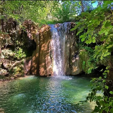 Koki * كلادوفو